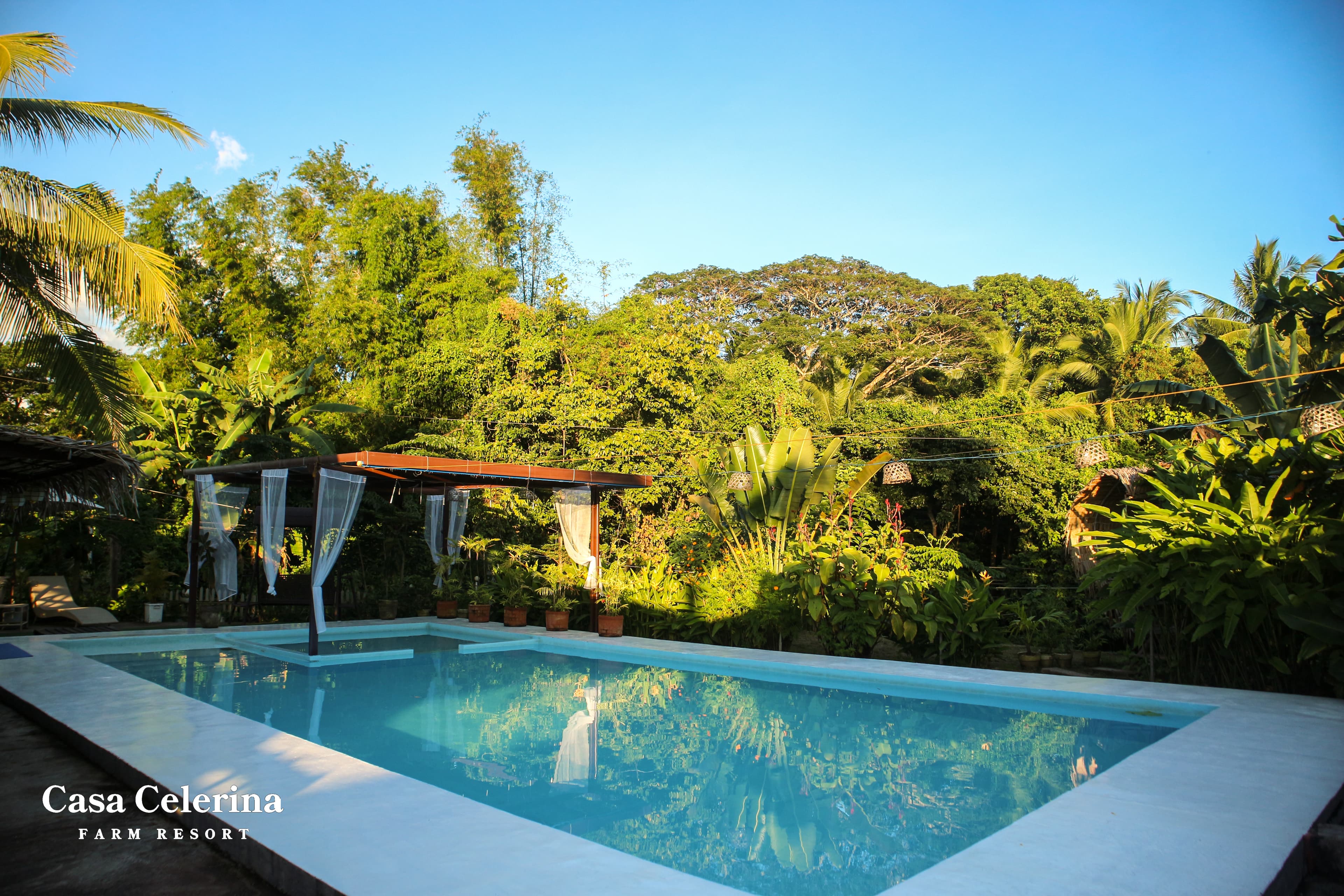 Casa Celerina resort pool surrounded by greenery