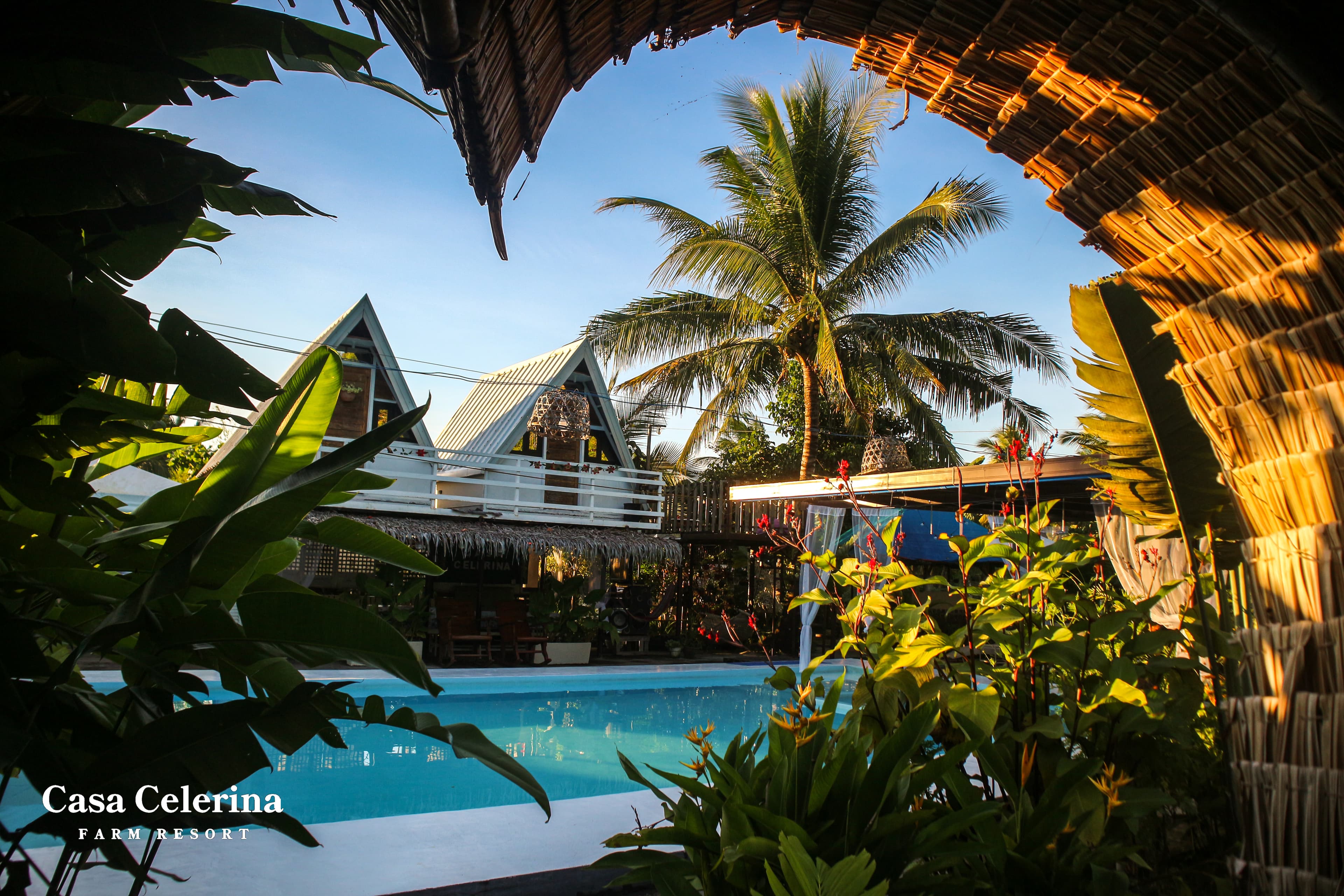Picture-Worthy Spaces, Naturally Memorable