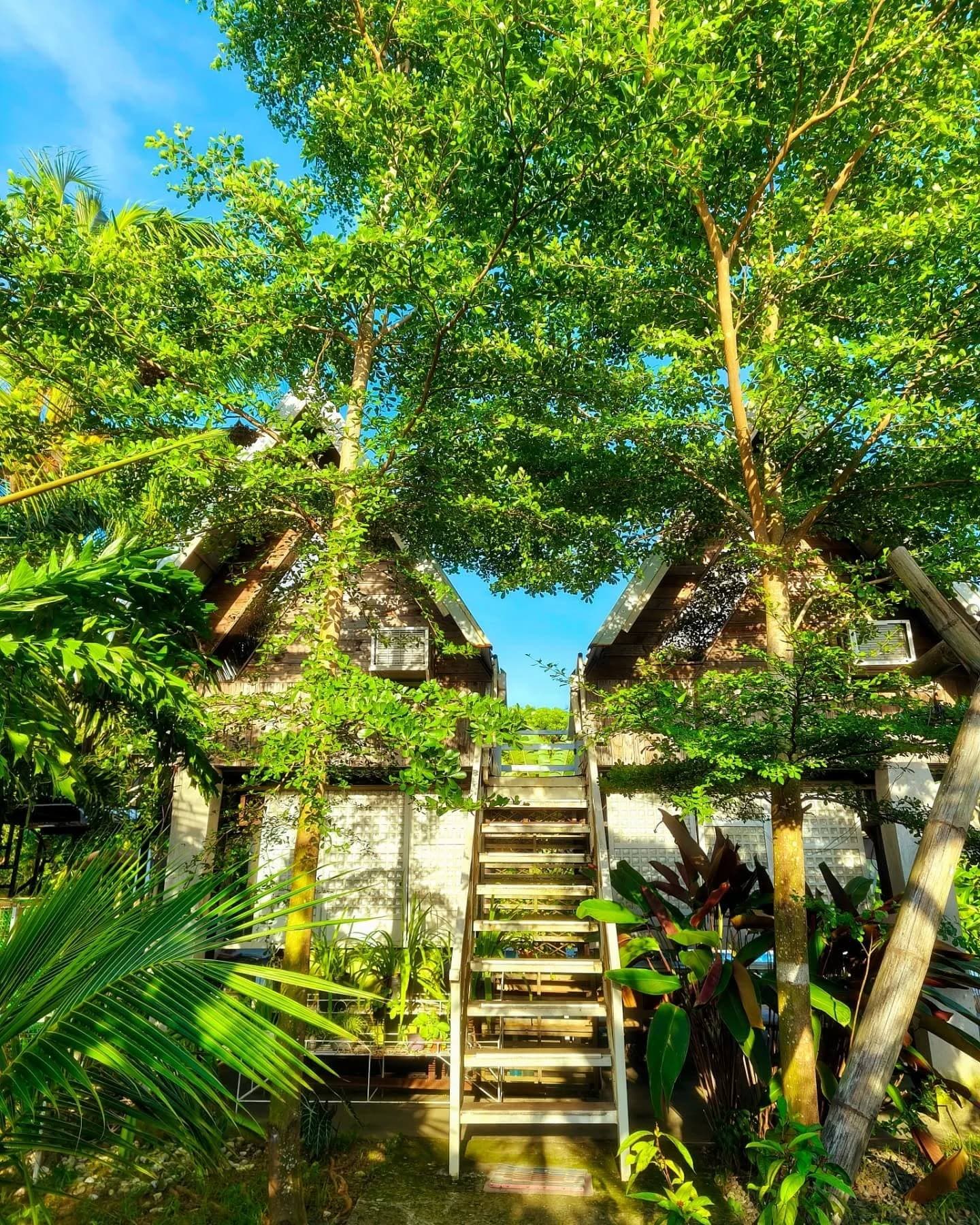 A-Frame Room at Casa Celerina