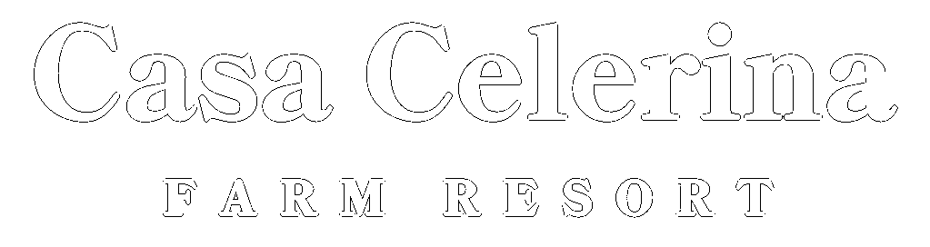Casa Celerina